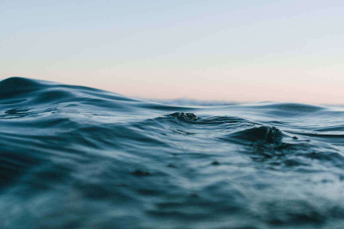 Abstract close-up of calm water surface at dusk — placeholder imagery